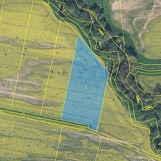 Prodej zemědělské půdy 8230 m&sup2; Rychnov nad Kněžnou