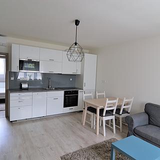 Pronájem bytu 2+kk 49 m² Brno Židenice, Čejkova