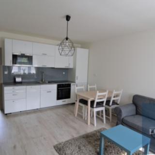 Pronájem bytu 2+kk 49 m² Brno Židenice, Čejkova
