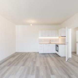Prodej bytu 1+1 46 m² Praha