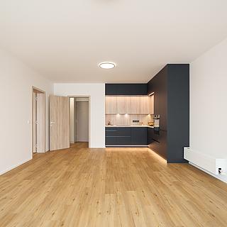 Pronájem bytu 2+kk 65 m² Brandýs nad Labem-Stará Boleslav Brandýs nad Labem, Dřevčická