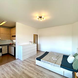 Pronájem bytu 1+kk a garsoniéry 31 m² Benátky nad Jizerou II, Pražská