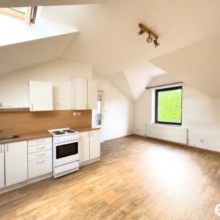 Pronájem bytu 1+kk a garsoniéry 33 m² Liberec XIV-Ruprechtice, Michelský vrch