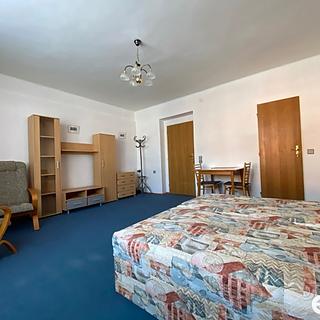 Pronájem bytu 1+kk a garsoniéry 30 m² Mladá Boleslav II, Jiráskova
