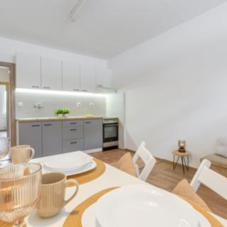 Prodej bytu 1+1 47 m² Bedřichov