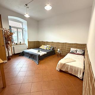 Pronájem pokoje 100 m² Strmilov