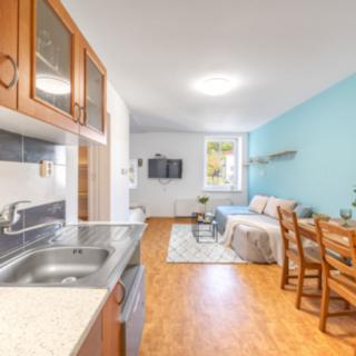 Prodej bytu 1+kk a garsoniéry 29 m² Kořenov