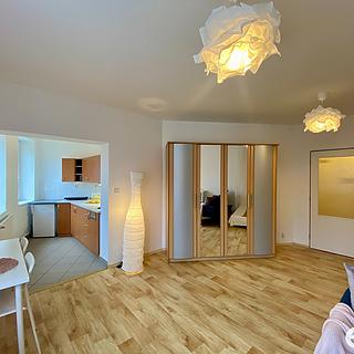 Pronájem bytu 1+kk, garsoniery 34 m² Mladá Boleslav
