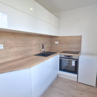 Pronájem bytu 2+kk 53 m² Zruč nad Sázavou