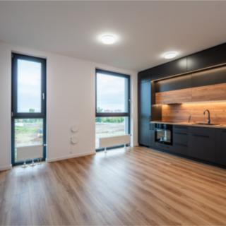 Pronájem bytu 1+kk a garsoniéry 30 m² Kolín III