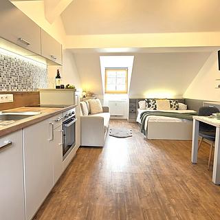 Prodej hotelu, penzionu 38 m&sup2; Horní Blatná