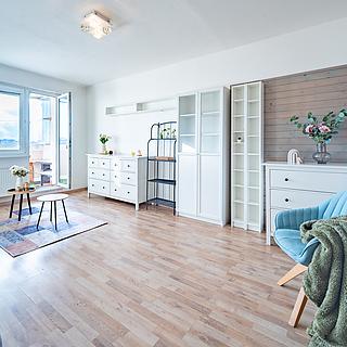 Prodej bytu 2+1 52 m² Praha Záběhlice, Sněženková