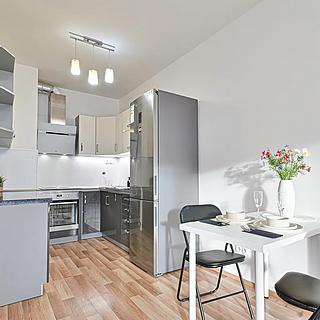 Pronájem bytu 2+kk 51 m² Praha