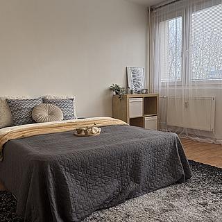 Prodej bytu 1+1 26 m² Hradec Králové Slezské Předměstí, Polní