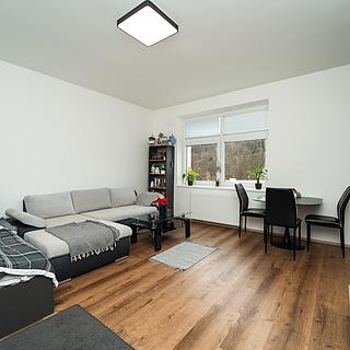 Prodej bytu 1+kk a garsoniéry 40 m² Liberec XXXIII-Machnín, Rynoltická