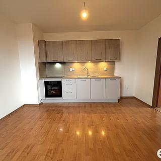 Pronájem bytu 2+kk 38 m&sup2; Holohlavy