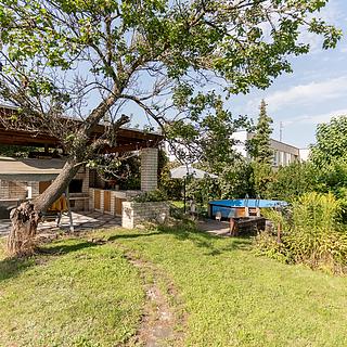 Pronájem zahrady 700 m² Mladá Boleslav