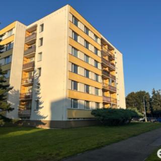 Pronájem bytu 3+1 69 m² Hradec Králové Moravské Předměstí, Vysocká