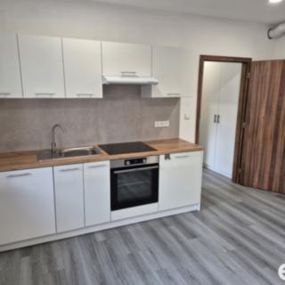 Pronájem bytu 2+1 55 m² Liberec IV-Perštýn, Mlýnská