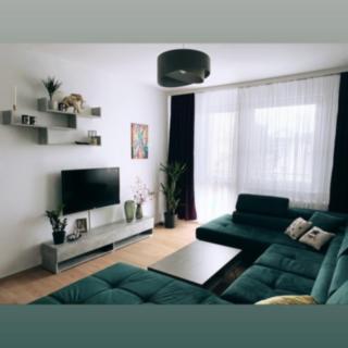 Pronájem bytu 4+1 71 m² Chlumec nad Cidlinou IV, Družstevní