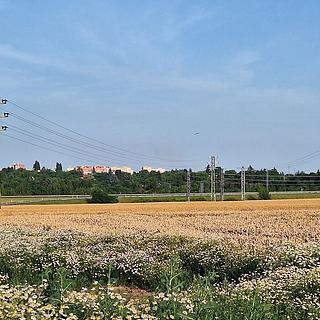 Prodej zemědělské půdy 5 938 m² Kolín I, Pražská