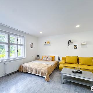 Pronájem bytu 1+kk a garsoniéry 28 m² Liberec IV-Perštýn, Mlýnská
