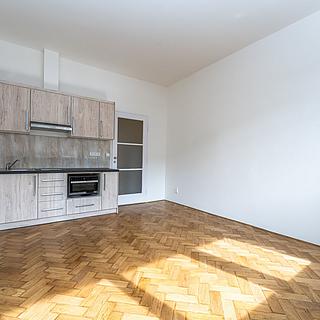 Pronájem bytu 1+kk a garsoniéry 26 m² Praha Holešovice, Letohradská