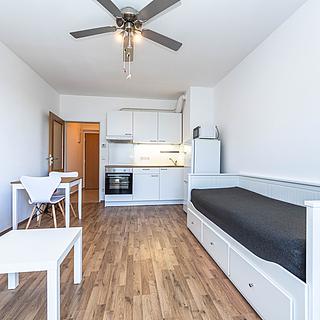 Pronájem bytu 1+kk a garsoniéry 26 m² Chýně, Ecksteinova