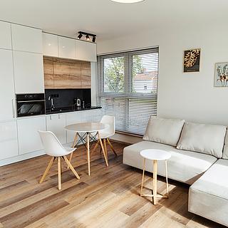 Pronájem bytu 3+kk 66 m² Nová Ves pod Pleší, Řadová