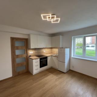 Pronájem bytu 2+kk 43 m² Planá, Wolkerova