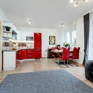 Prodej bytu 2+kk 57 m² Brandýs nad Labem-Stará Boleslav Brandýs nad Labem, Kralupská