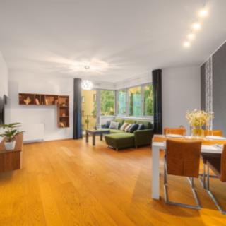 Pronájem bytu 2+kk 59 m² Plzeň Východní Předměstí, Šafaříkovy sady