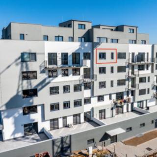 Pronájem bytu 2+kk 45 m² Plzeň