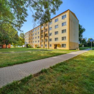 Prodej bytu 2+1 56 m² Ostrov, Severní