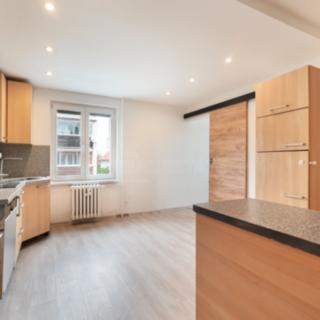 Prodej bytu 3+1 65 m², Tichá