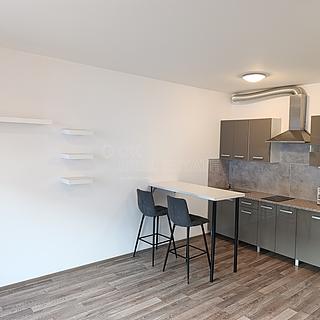 Pronájem bytu 1+kk a garsoniéry 16 913 m² Praha Vysočany, Strnadových