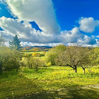 Prodej louky 700 m² Vápenná