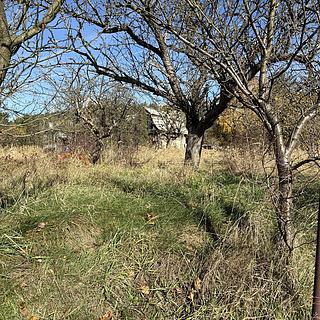 Prodej zahrady 1 786 m² Velké Meziříčí