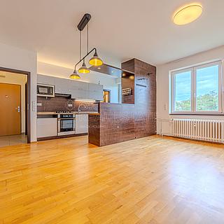 Prodej bytu 3+kk 67 m² Hnojník