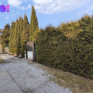 Prodej zahrady 458 m² Pelhřimov