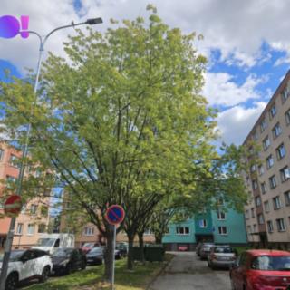 Pronájem bytu 2+1 44 m² Ostrava Dubina, Václava Košaře