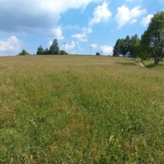 Prodej zemědělské půdy 5 336 m² Křižánky