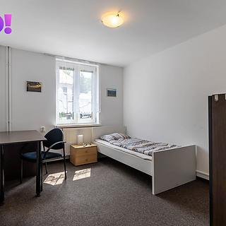 Pronájem pokoje 15 m² Řeka