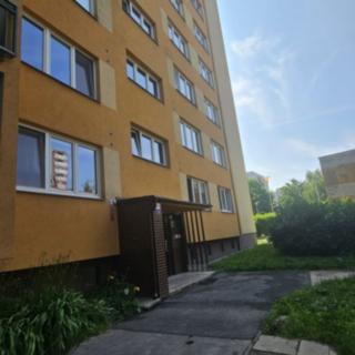 Pronájem bytu 2+1 58 m² Ostrava Hrabůvka, Alberta Kučery