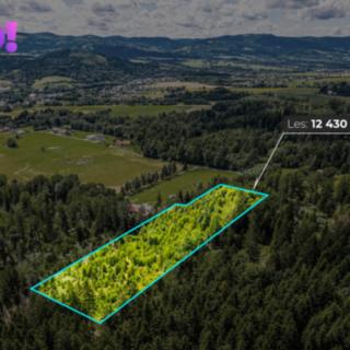 Prodej lesa 12 430 m² Písek