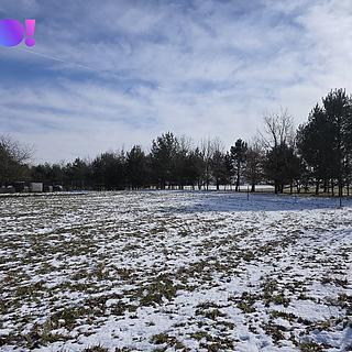 Prodej stavební parcely 1 067 m² Velké Albrechtice