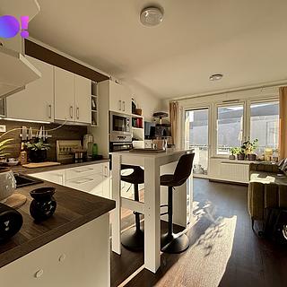 Prodej bytu 1+kk a garsoniéry 41 m² Olomouc Hodolany, Tovární