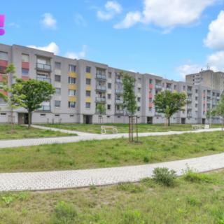 Pronájem bytu 3+1 72 m² Pardubice Cihelna, U Josefa