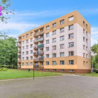Pronájem bytu 1+1 38 m² Chrudim II, Topolská