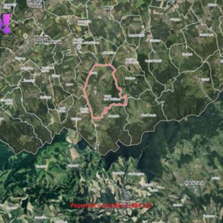 Prodej zemědělské půdy 2 696 m² Velká nad Veličkou
